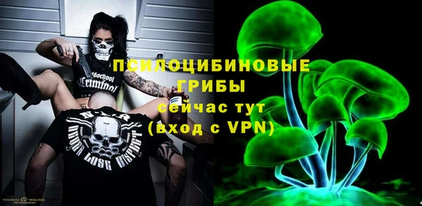 МДПВ Армянск